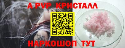 соль ск Кингисепп