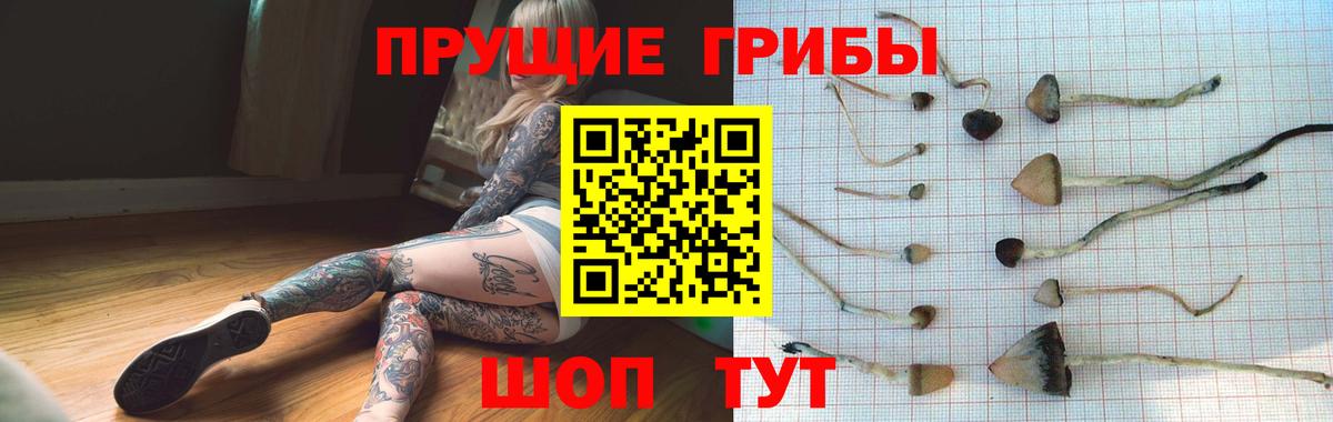Галлюциногенные грибы мицелий  Галлюциногенные грибы мицелий  где можно купить наркотик  Крымск  Вход с VPN 